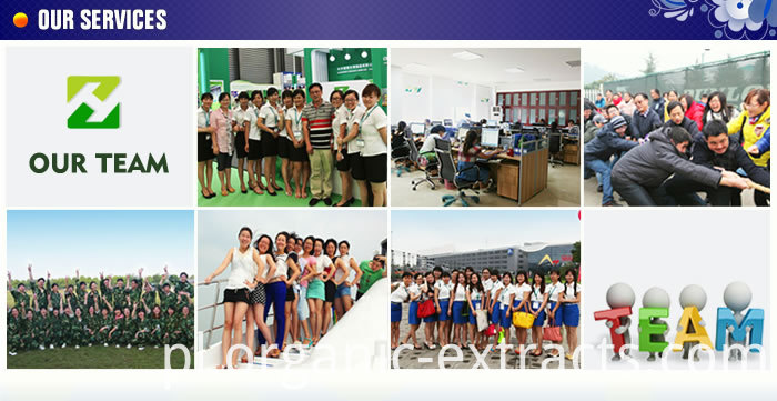 Gardenia Extract Gardenia Red Color Powder Gardenia Extract Gardenia Red Color Powder